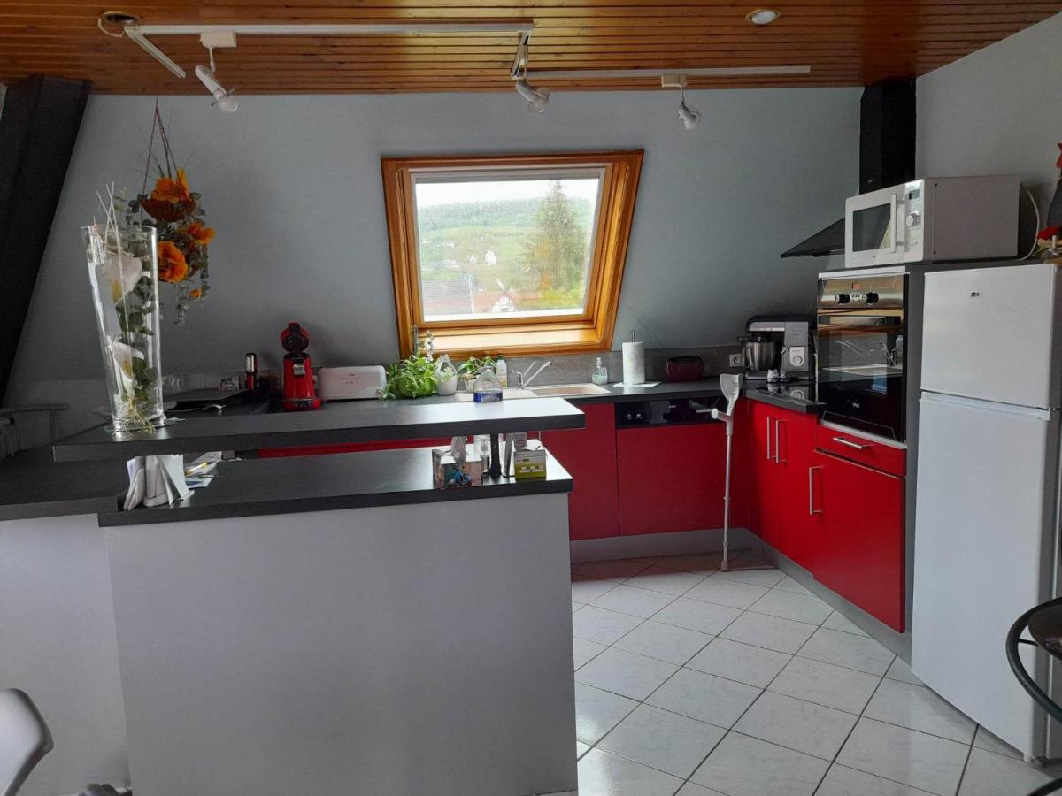 Gite Le Jardin De Hermolsheim. Alsace Tres Spacieux มุตซิก ภายนอก รูปภาพ