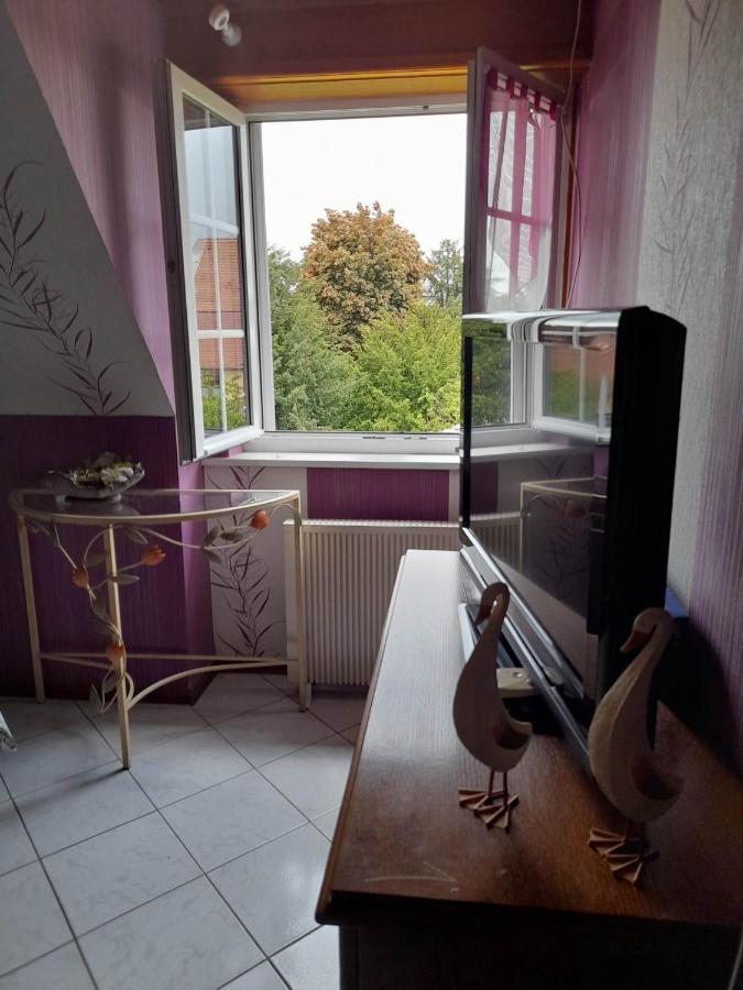 Gite Le Jardin De Hermolsheim. Alsace Tres Spacieux มุตซิก ภายนอก รูปภาพ