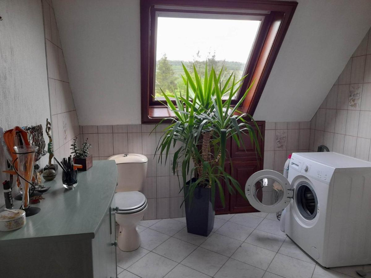 Gite Le Jardin De Hermolsheim. Alsace Tres Spacieux มุตซิก ภายนอก รูปภาพ