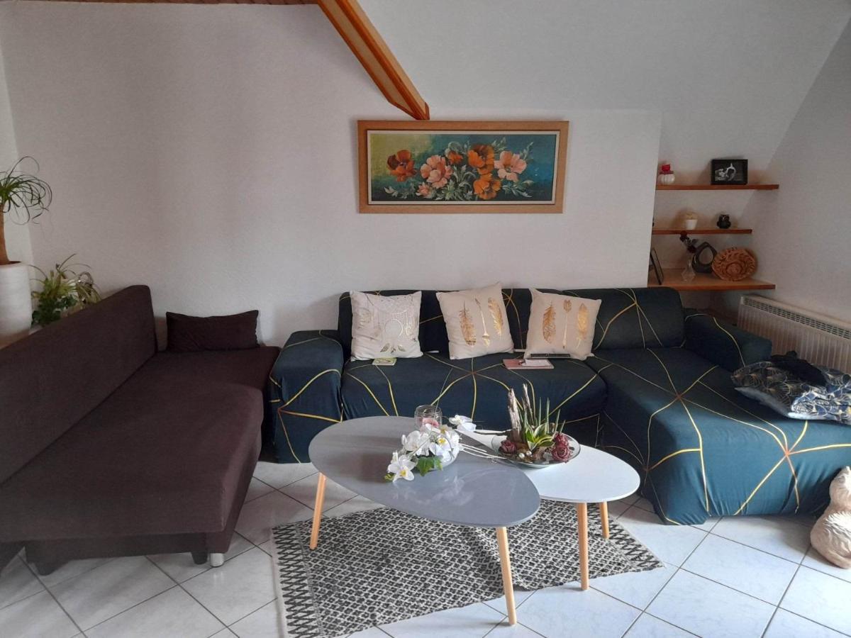Gite Le Jardin De Hermolsheim. Alsace Tres Spacieux มุตซิก ภายนอก รูปภาพ